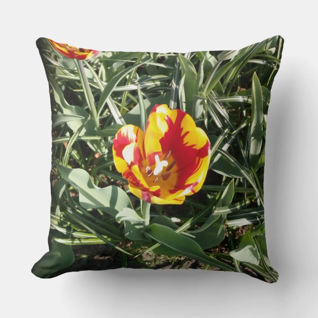 Tulip  cushion (Front)