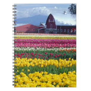 Tulip display field spiral notebook