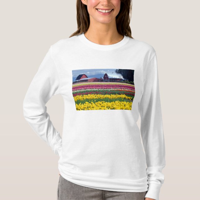 Tulip display field T-Shirt (Front)