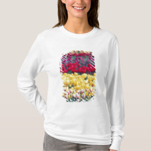 Tulip display garden in the Skagit valley, T-Shirt