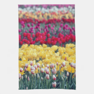 Tulip display garden in the Skagit valley, Tea Towel
