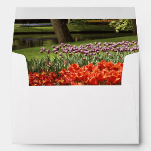 Tulip Envelope