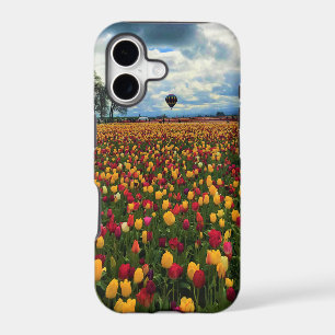 Tulip Farm in Oregon