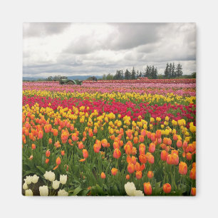 Tulip Farm Magnet