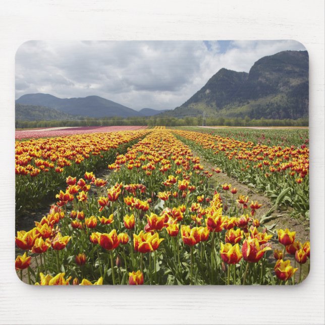 Tulip Farm near Agassiz, British Columbia, Mouse Pad (Front)