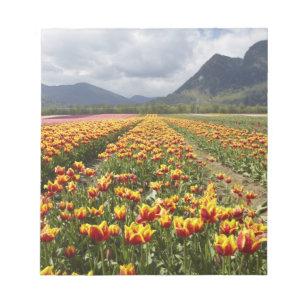 Tulip Farm near Agassiz, British Columbia, Notepad