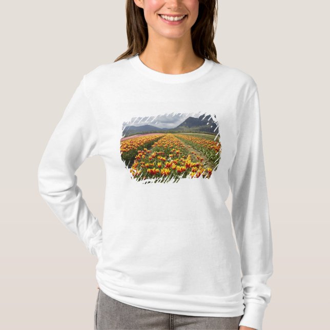 Tulip Farm near Agassiz, British Columbia, T-Shirt (Front)