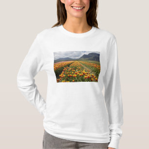 Tulip Farm near Agassiz, British Columbia, T-Shirt