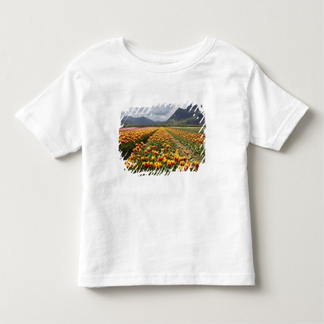 Tulip Farm near Agassiz, British Columbia, Toddler T-Shirt (Front)