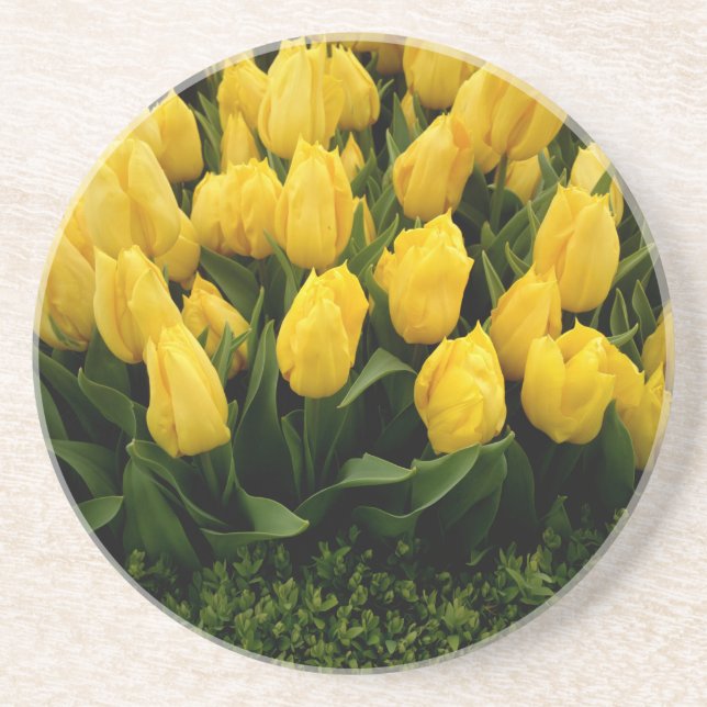Tulip Festival - 27 Coaster (Front)