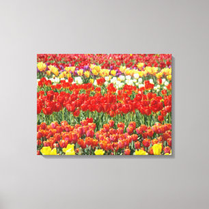 Tulip Festival Colourful Field of Tulips Fine Art Canvas Print