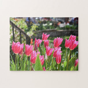 Tulip Festival Flower Nature Photography Garden Jigsaw Puzzle