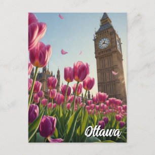 Tulip Festival in Ottawa Canada Travel Postcard