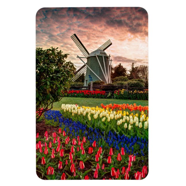 Tulip Festival Magnet (Vertical)