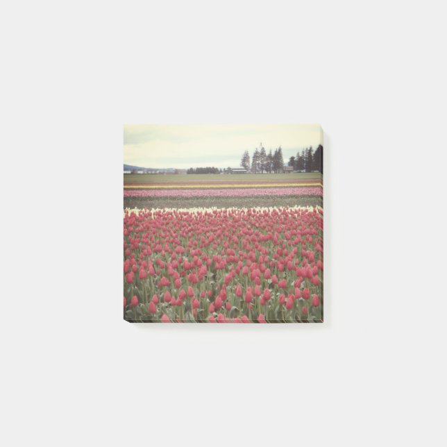 Tulip Festival Post It Notes (Front)