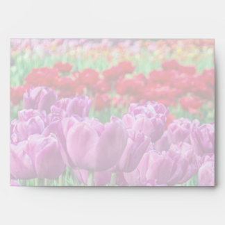 Tulip Field Envelopes
