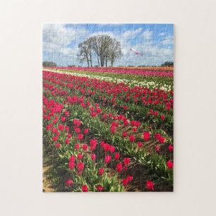 Tulip Field with Kite, Oregon Jigsaw Puzzle
