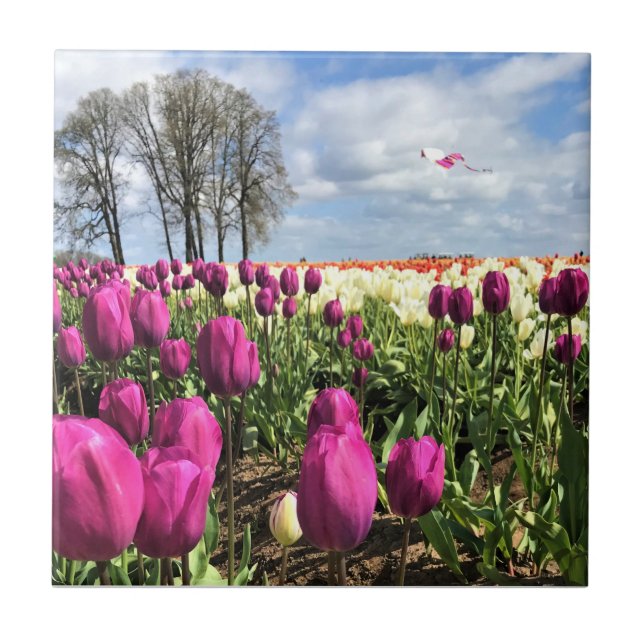 Tulip Field with Kite, Oregon Tile (Front)
