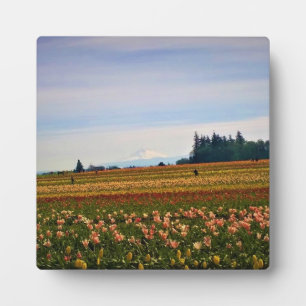 Tulip Field with Mt. Hood, Oregon Plaque