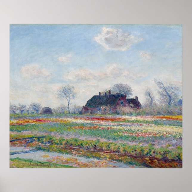 Tulip Fields at Sassenheim by Claude Monet Poster (Front)