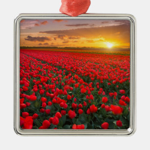 Tulip Fields at Sunset in the Netherlands Metal Tree Decoration