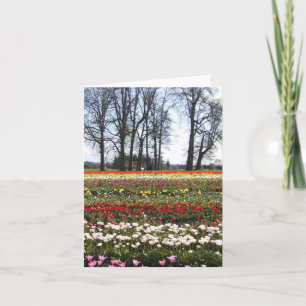 Tulip Fields greeting card