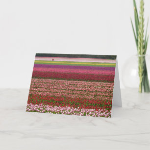 Tulip fields inspiration card