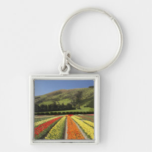 Tulip Fields, near Tapanui, West Otago, South 2 Key Ring