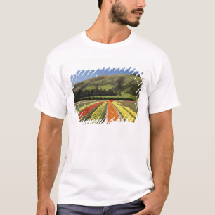 Tulip Fields, near Tapanui, West Otago, South 2 T-Shirt