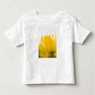 Tulip fields of Mt. Vernon, Skagit County, WA. Toddler T-Shirt