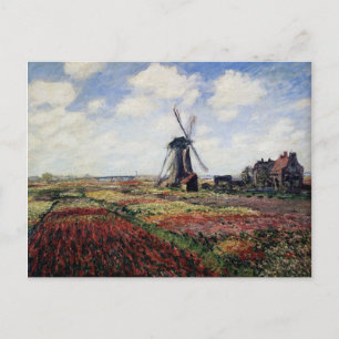 Tulip Fields Postcard