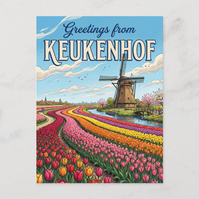 Tulip Fields & Windmills, Lisse Netherlands Postcard (Front)