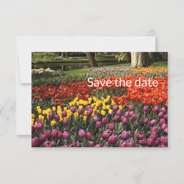 Tulip Flat Save The Date Card (Front)