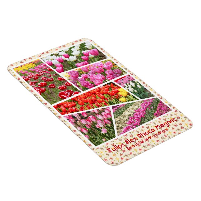 Tulip [Flex Photo Magnet] Magnet (Right Side)