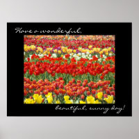 Tulip Flower art prints Colourful Wonderful Day