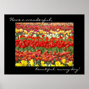 Tulip Flower art prints Colourful Wonderful Day