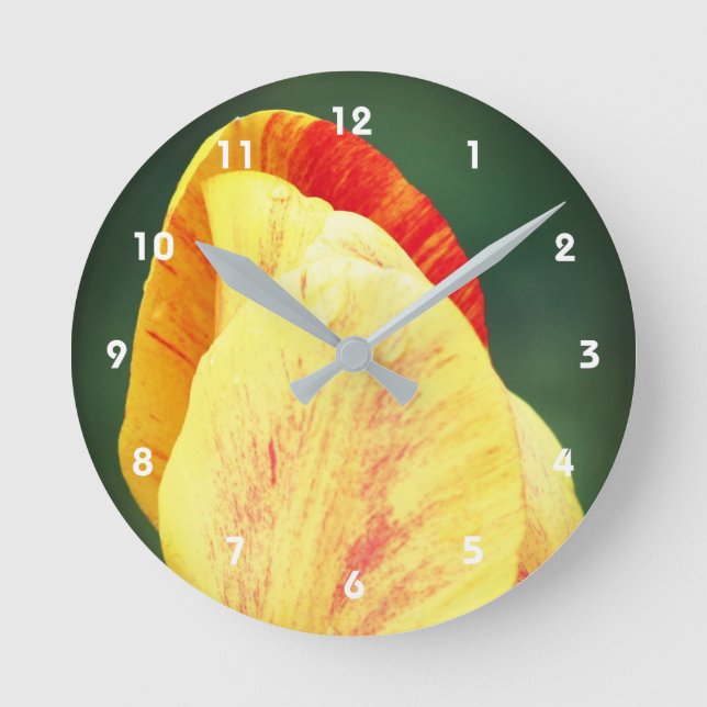 Tulip Flower Petals With Raindrops Close Up  Round Clock (Front)