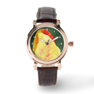 Tulip Flower Petals With Raindrops Close Up Watch