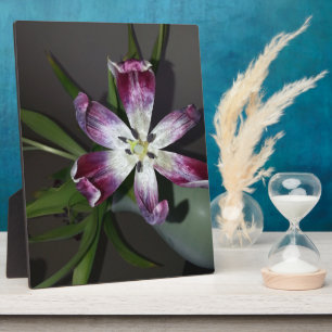 Tulip Flower Plaque