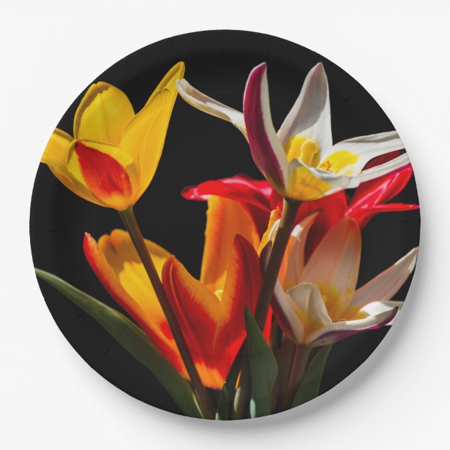 Tulip flowers against black background paper plate (Front)