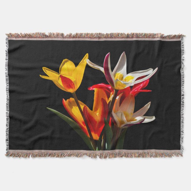 Tulip flowers against black background throw blanket (Front)