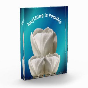 Tulip Flowers Anything Is Possible Inspirational Photo Block