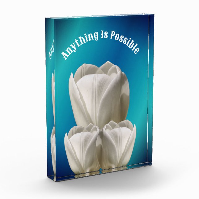 Tulip Flowers Anything Is Possible Inspirational  Photo Block (Left)