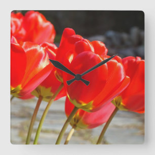 Tulip Flowers Clocks custom Red Tulips Floral