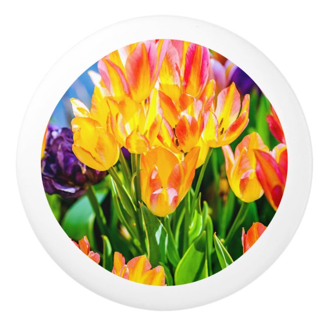 Tulip Flowers - Flourish Ceramic Knob (Front)