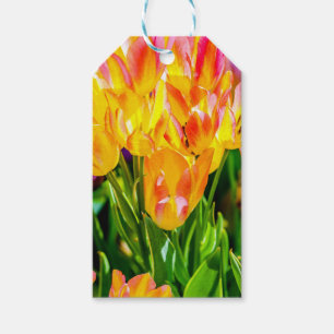 Tulip Flowers - Flourish Gift Tags