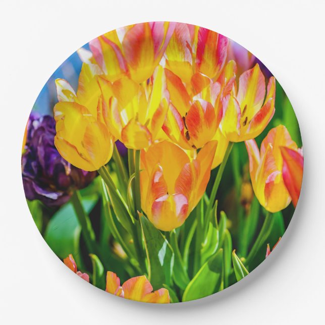Tulip Flowers - Flourish Paper Plate (Front)