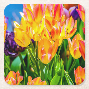 Tulip Flowers - Flourish Square Paper Coaster