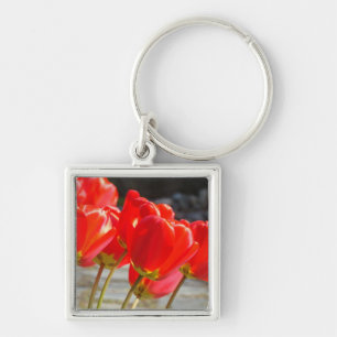 Tulip Flowers keychain Red Tulips key chain