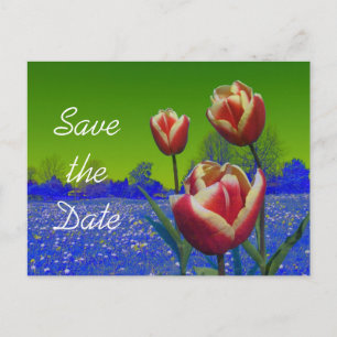 tulip flowers save the date announcement postcard
